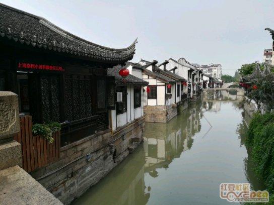 深入了解电压力锅可以做蛋糕吗?的新红迪网平台